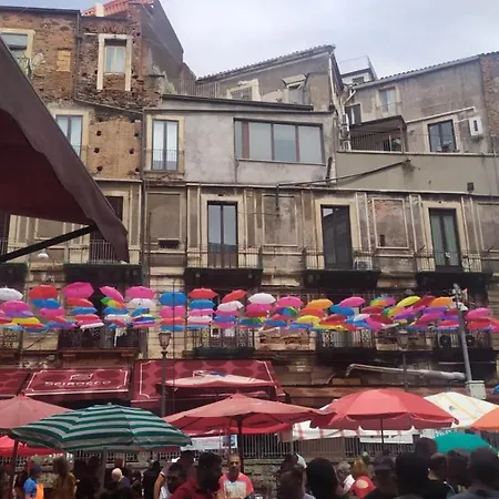 La Casa Di Orlando *